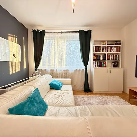 Apartment - Naehe Bahnhof - Arbeitsplatz - Badewanne - Piano Schalchham